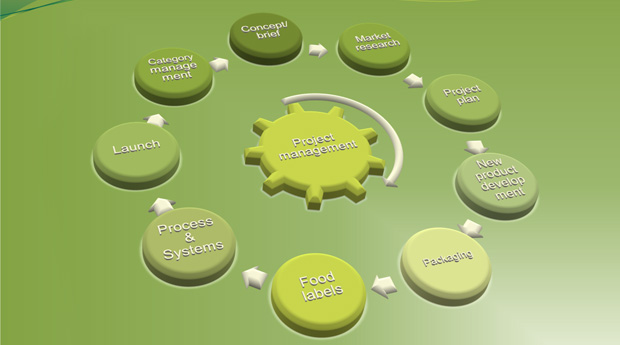 Project Management